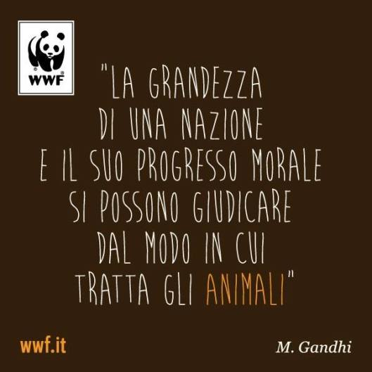 1385891_10151749571022869_565885281_n