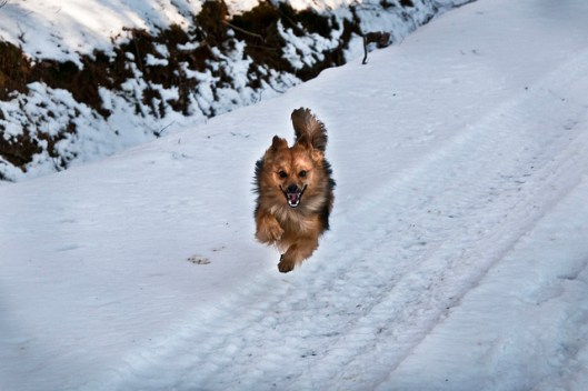 8470533987_4f87a010a9_z